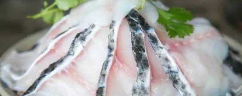 黑魚片怎麼做好吃又簡單