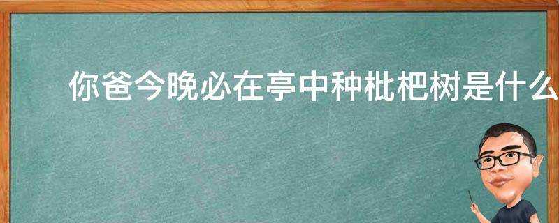 你爸今晚必在亭中種枇杷樹是什麼意思