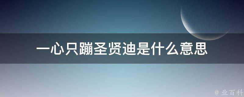 一心只蹦聖賢迪是什麼意思