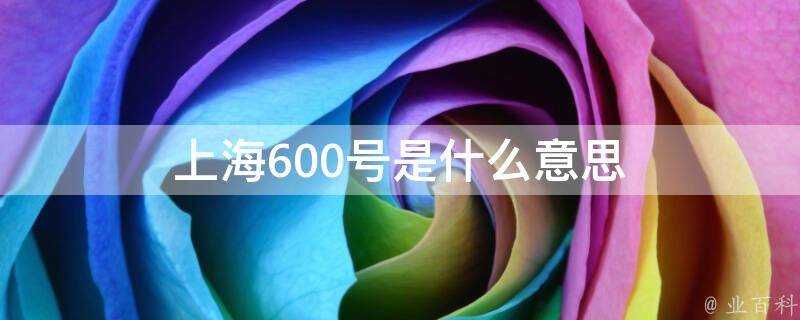 上海600號是什麼意思