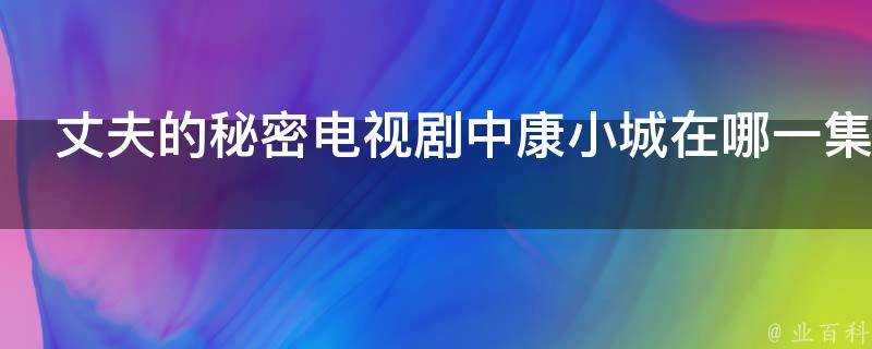 丈夫的秘密電視劇中康小城在哪一集買房子