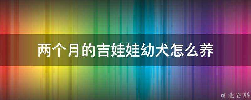 兩個月的吉娃娃幼犬怎麼養