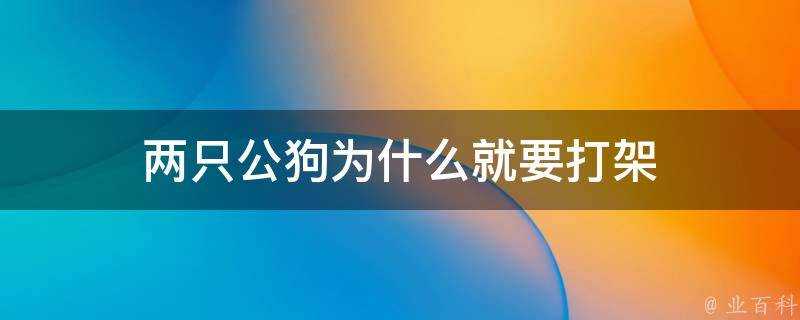 兩隻公狗為什麼就要打架