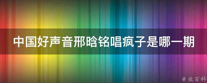 中國好聲音邢晗銘唱瘋子是哪一期