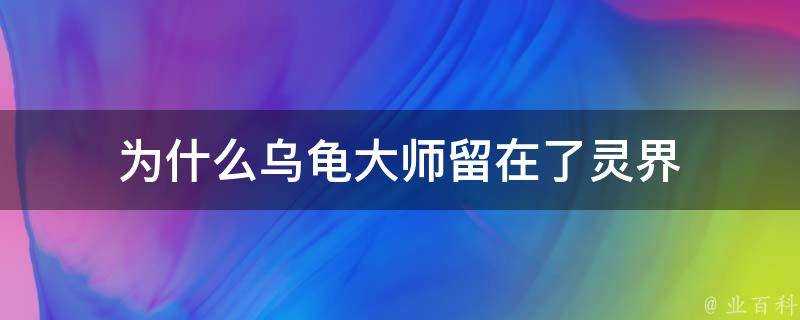 為什麼烏龜大師留在了靈界