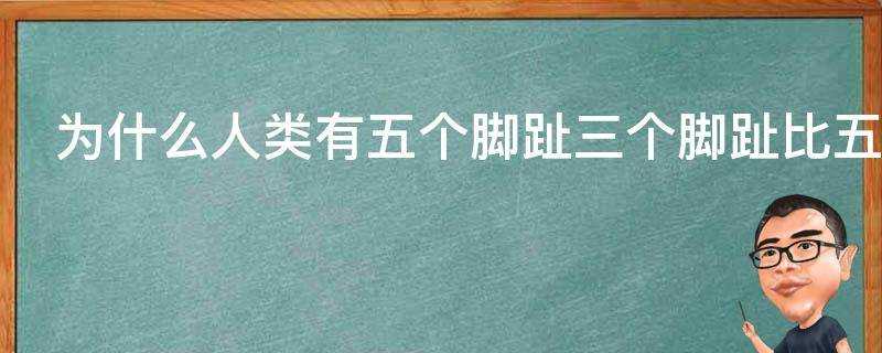 為什麼人類有五個腳趾三個腳趾比五個腳趾更高效嗎