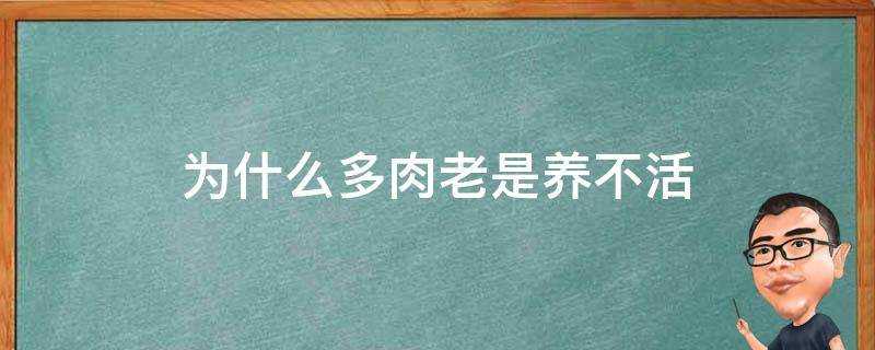 為什麼多肉老是養不活