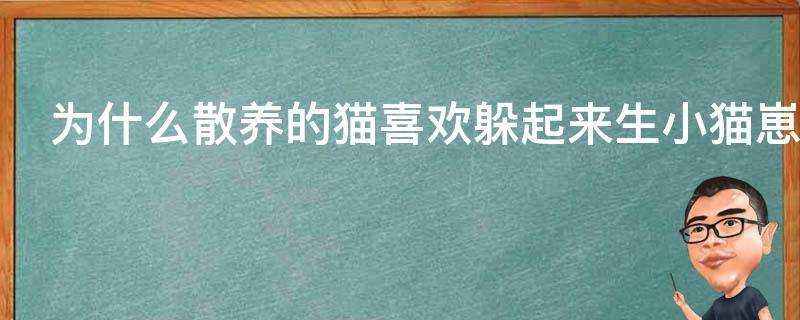 為什麼散養的貓喜歡躲起來生小貓崽並且很長一段時間都不帶回家