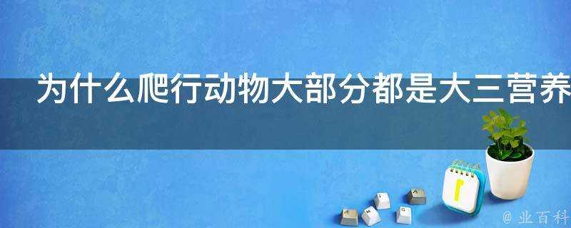 為什麼爬行動物大部分都是大三營養級及其以上肉食動物