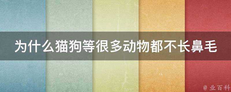 為什麼貓狗等很多動物都不長鼻毛