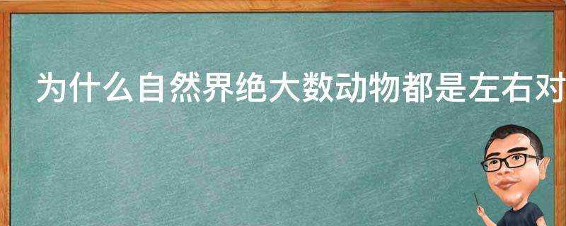 為什麼自然界絕大數動物都是左右對稱的生理結構