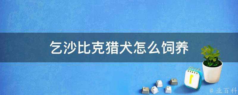 乞沙比克獵犬怎麼飼養