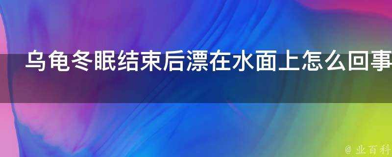 烏龜冬眠結束後漂在水面上怎麼回事