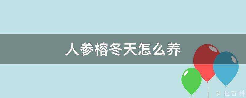 人參榕冬天怎麼養