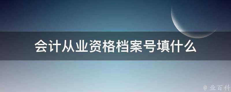 會計從業資格檔案號填什麼