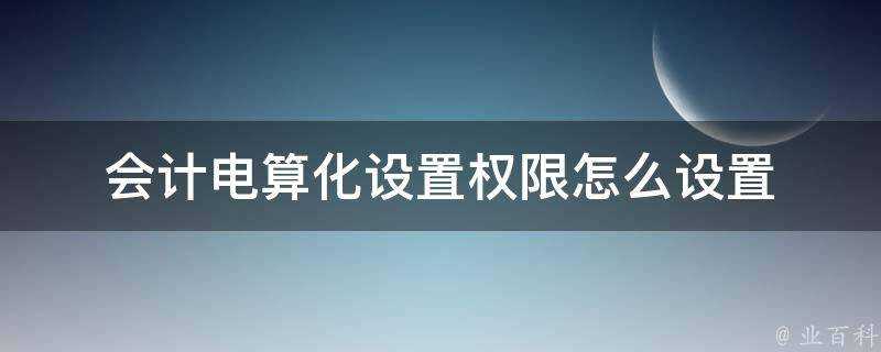 會計電算化設定許可權怎麼設定