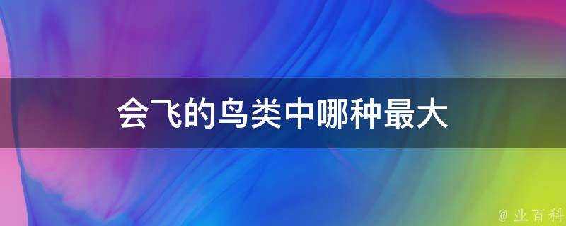 會飛的鳥類中哪種最大