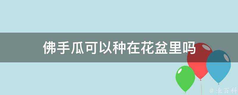 佛手瓜可以種在花盆裡嗎