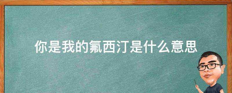 你是我的氟西汀是什麼意思