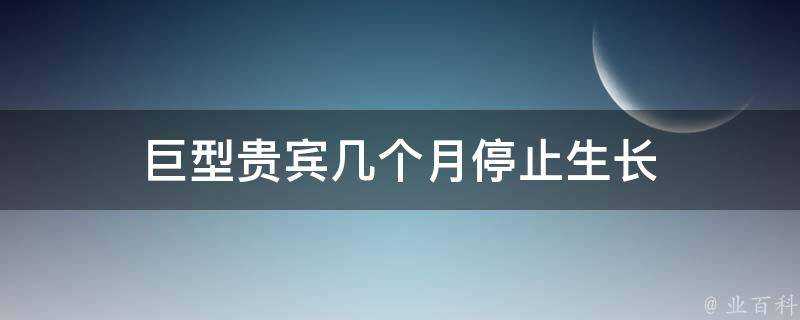 巨型貴賓幾個月停止生長