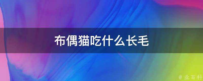 布偶貓吃什麼長毛