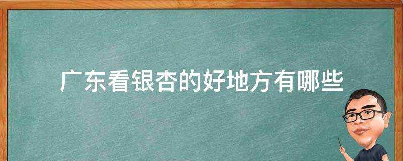 廣東看銀杏的好地方有哪些