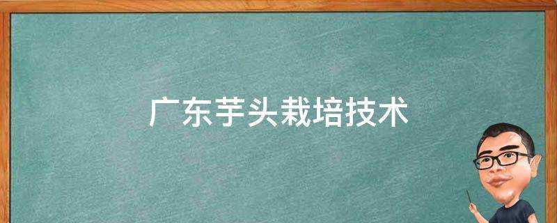 廣東芋頭栽培技術