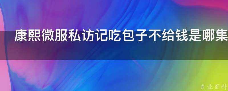 康熙微服私訪記吃包子不給錢是哪集