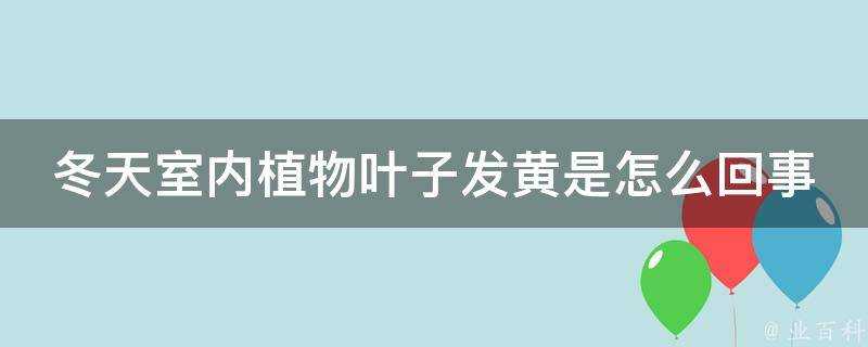 冬天室內植物葉子發黃是怎麼回事