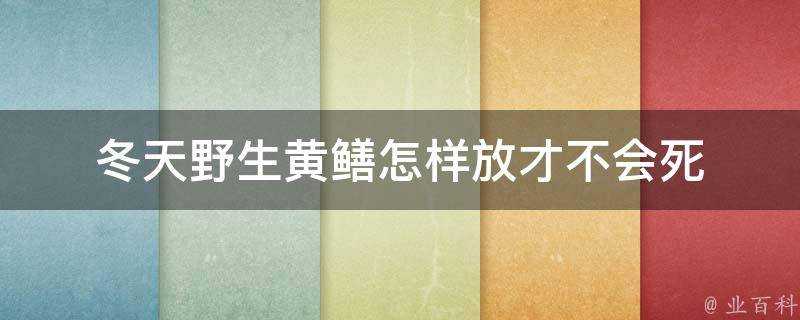 冬天野生黃鱔怎樣放才不會死