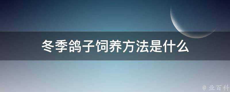 冬季鴿子飼養方法是什麼