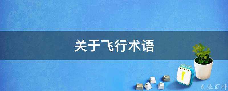 關於飛行術語