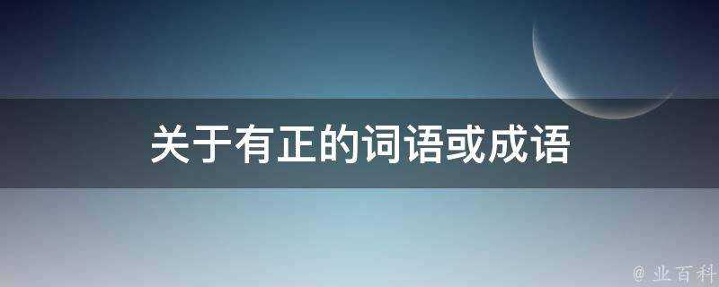 關於有正的詞語或成語