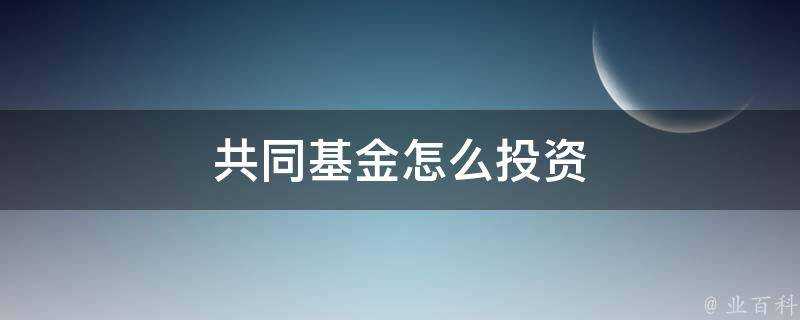 共同基金怎麼投資