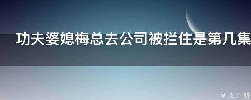 功夫婆媳梅總去公司被攔住是第幾集