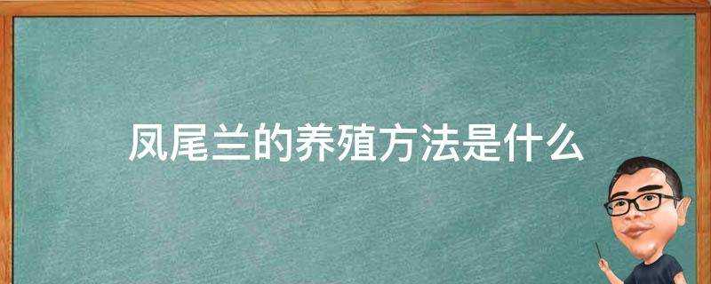 鳳尾蘭的養殖方法是什麼