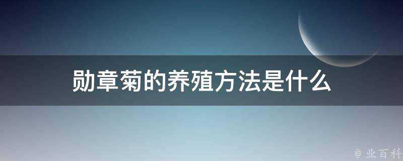 勳章菊的養殖方法是什麼