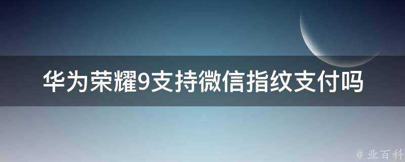 華為榮耀9支援微信指紋支付嗎