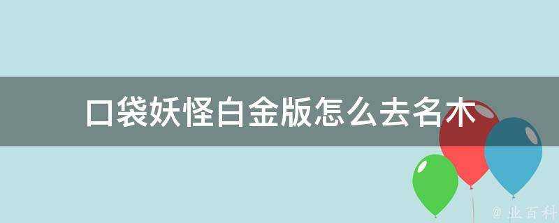 口袋妖怪白金版怎麼去名木