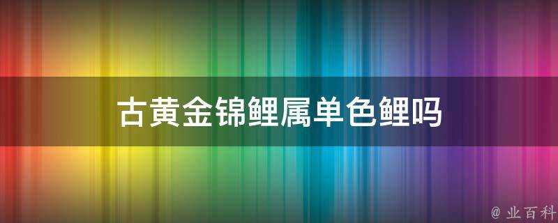 古黃金錦鯉屬單色鯉嗎