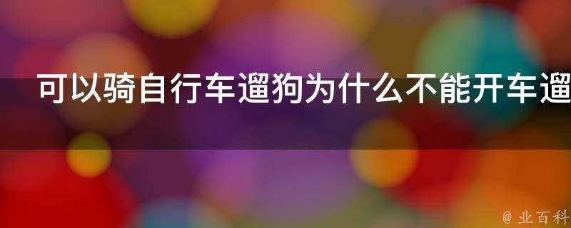 可以騎腳踏車遛狗為什麼不能開車遛狗呢