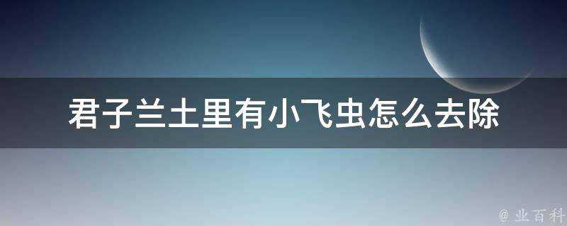 君子蘭土裡有小飛蟲怎麼去除