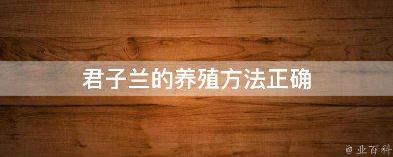 君子蘭的養殖方法正確