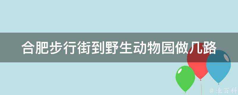 合肥步行街到野生動物園做幾路