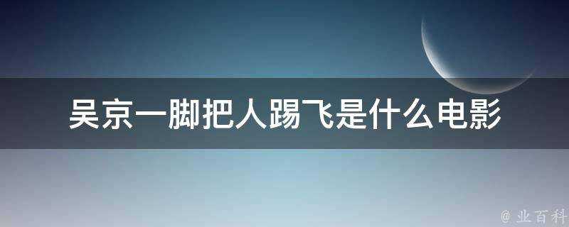 吳京一腳把人踢飛是什麼電影