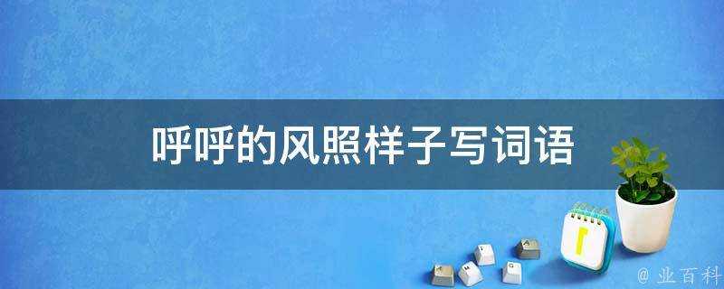 呼呼的風照樣子寫詞語