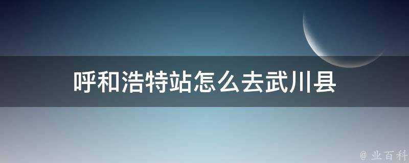 呼和浩特站怎麼去武川縣