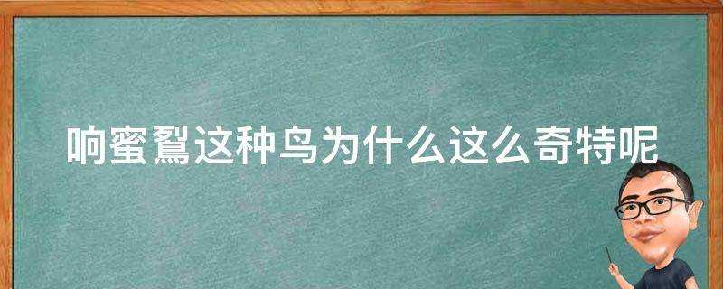 響蜜鴷這種鳥為什麼這麼奇特呢