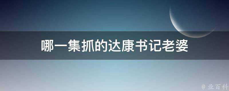 哪一集抓的達康書記老婆