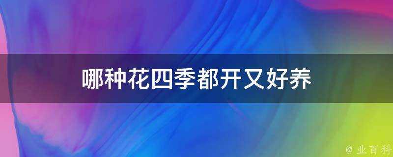 哪種花四季都開又好養